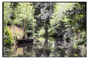 Marais Poitevin